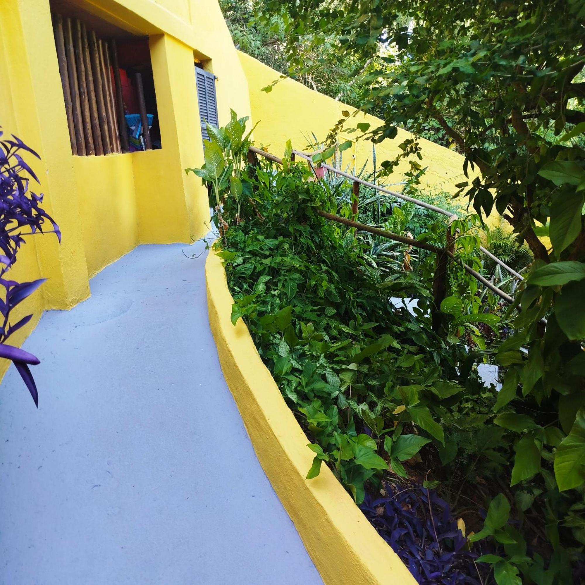 L&M Housing Apartamentos Y Casa Armacao dos Buzios ภายนอก รูปภาพ